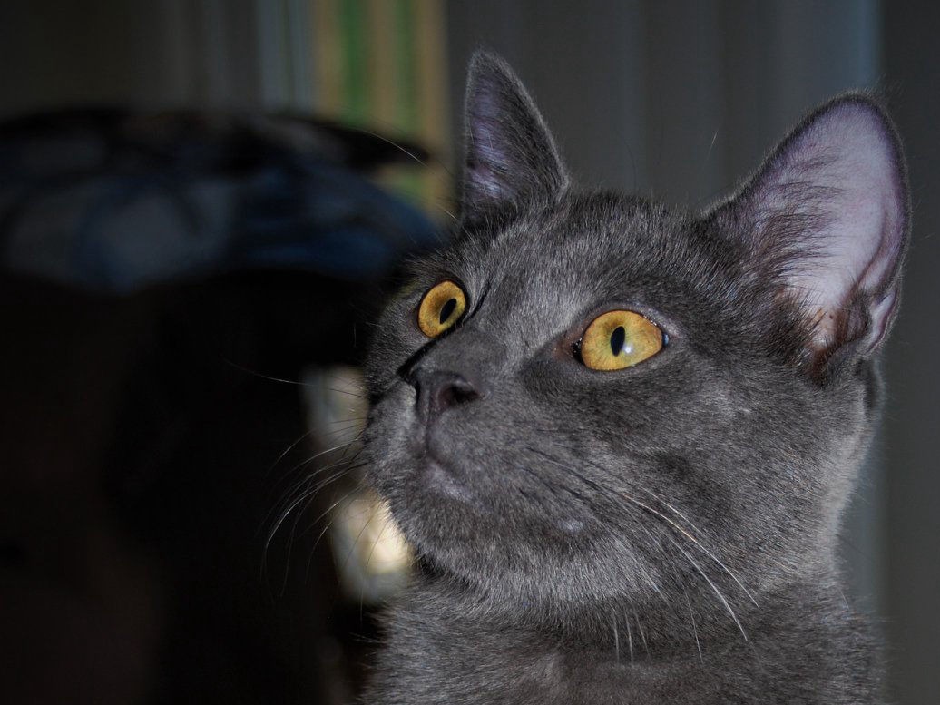 Favorite Links & Resources