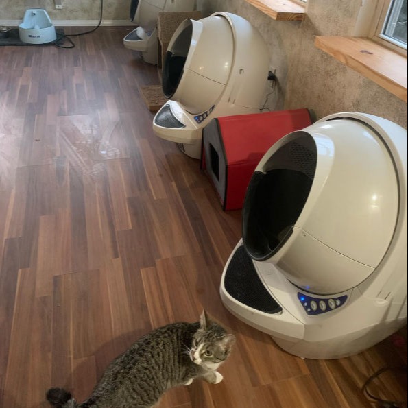 About Us, Our Mission & Facility