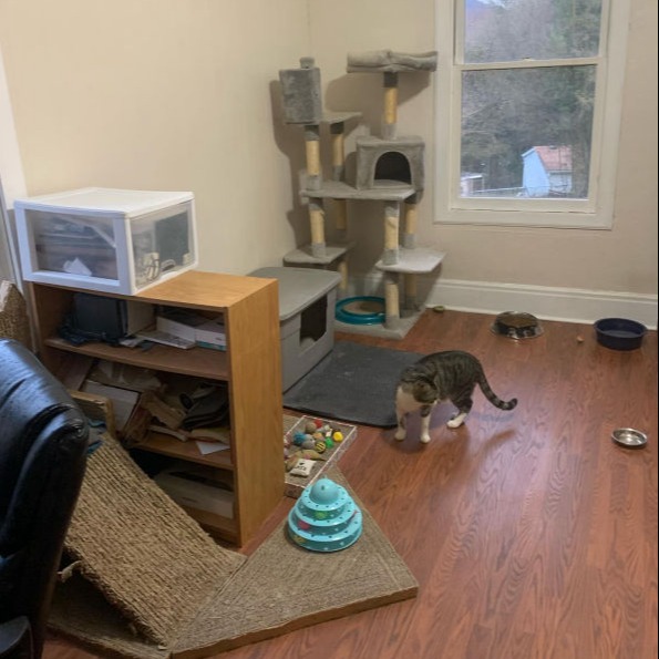 About Us, Our Mission & Facility