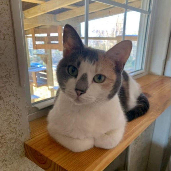 About Us, Our Mission & Facility