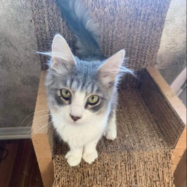 About Us, Our Mission & Facility