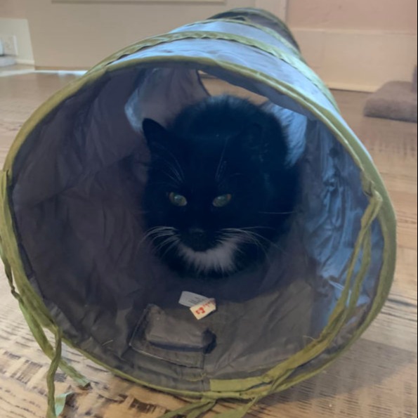 About Us, Our Mission & Facility